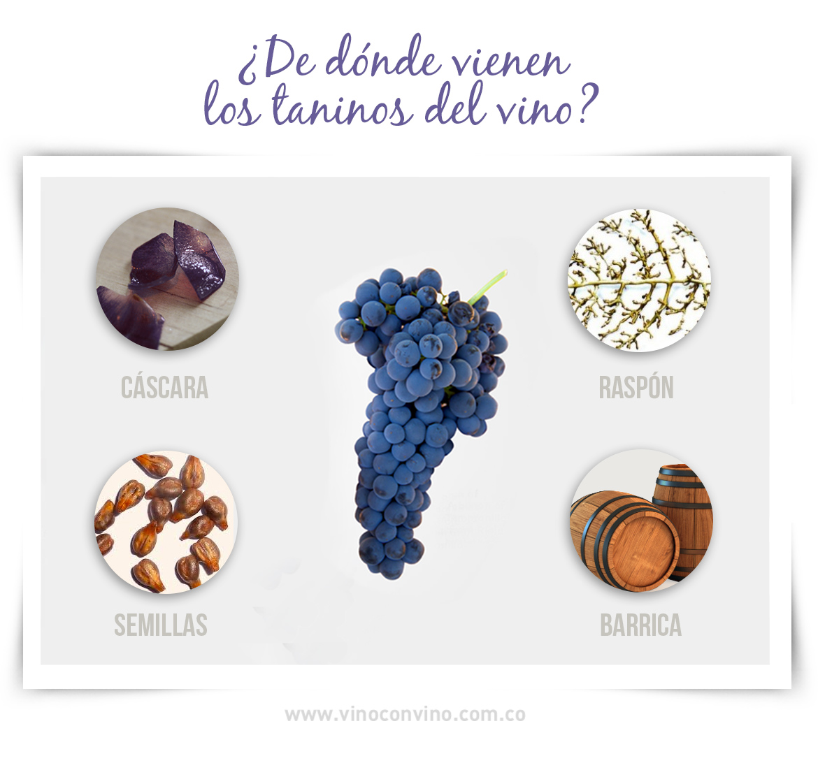 ¿De dónde vienen los taninos del vino?